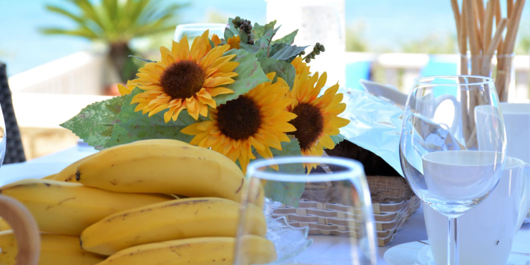 Beachfront Villa Gradina